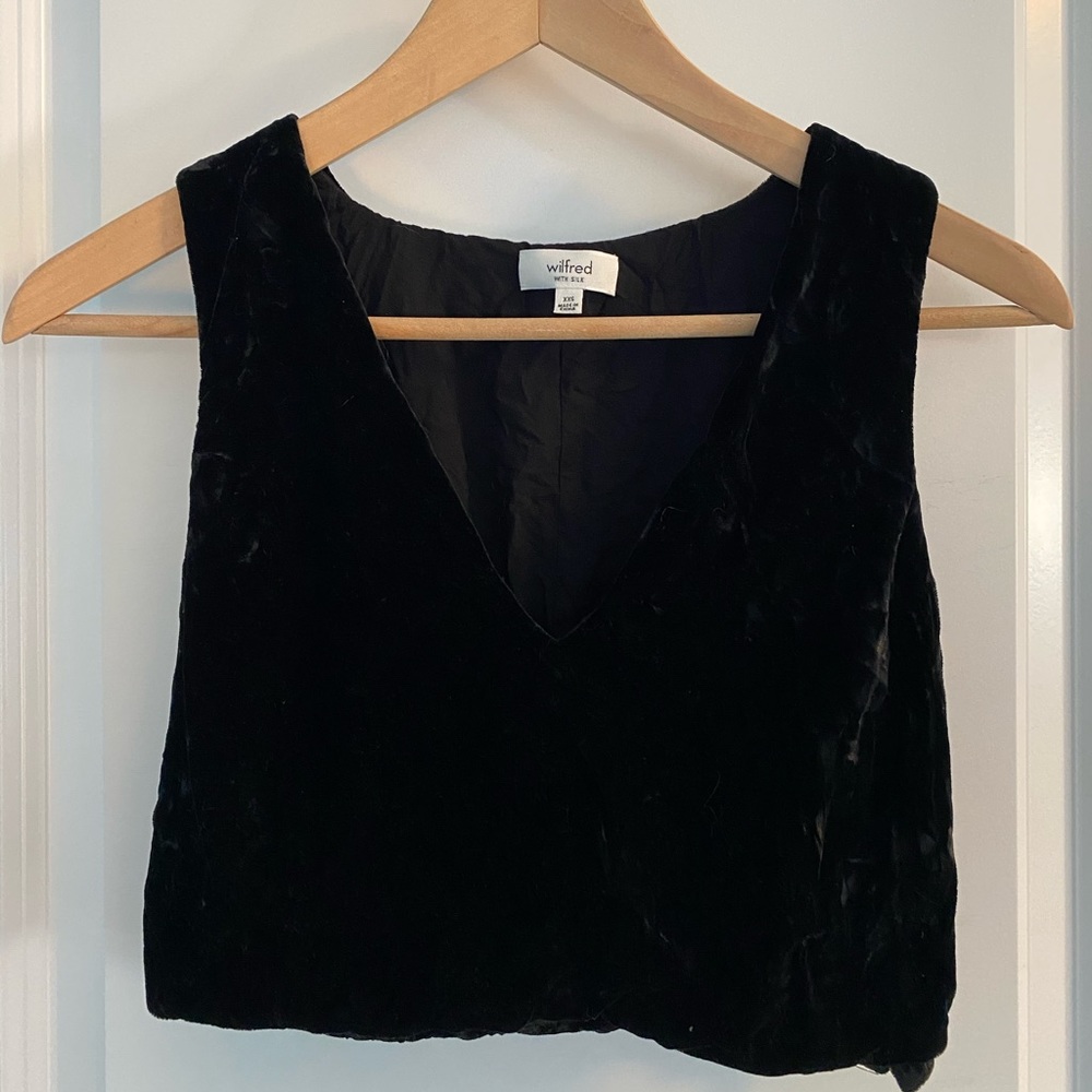 Wilfred Dauphine Velvet Crop Top - Picture 2 of 3